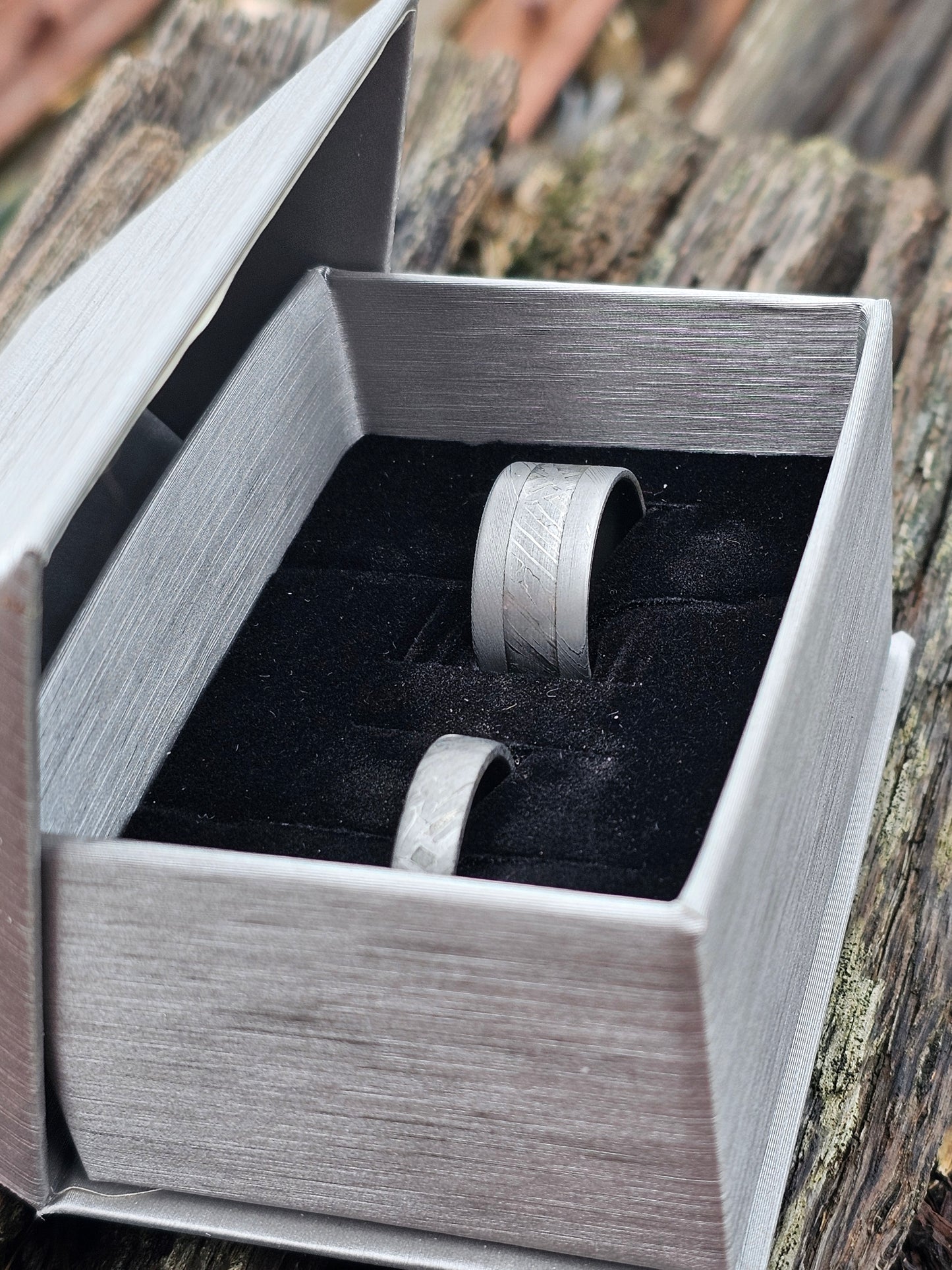 Star Crossed Meteorite Ring Set