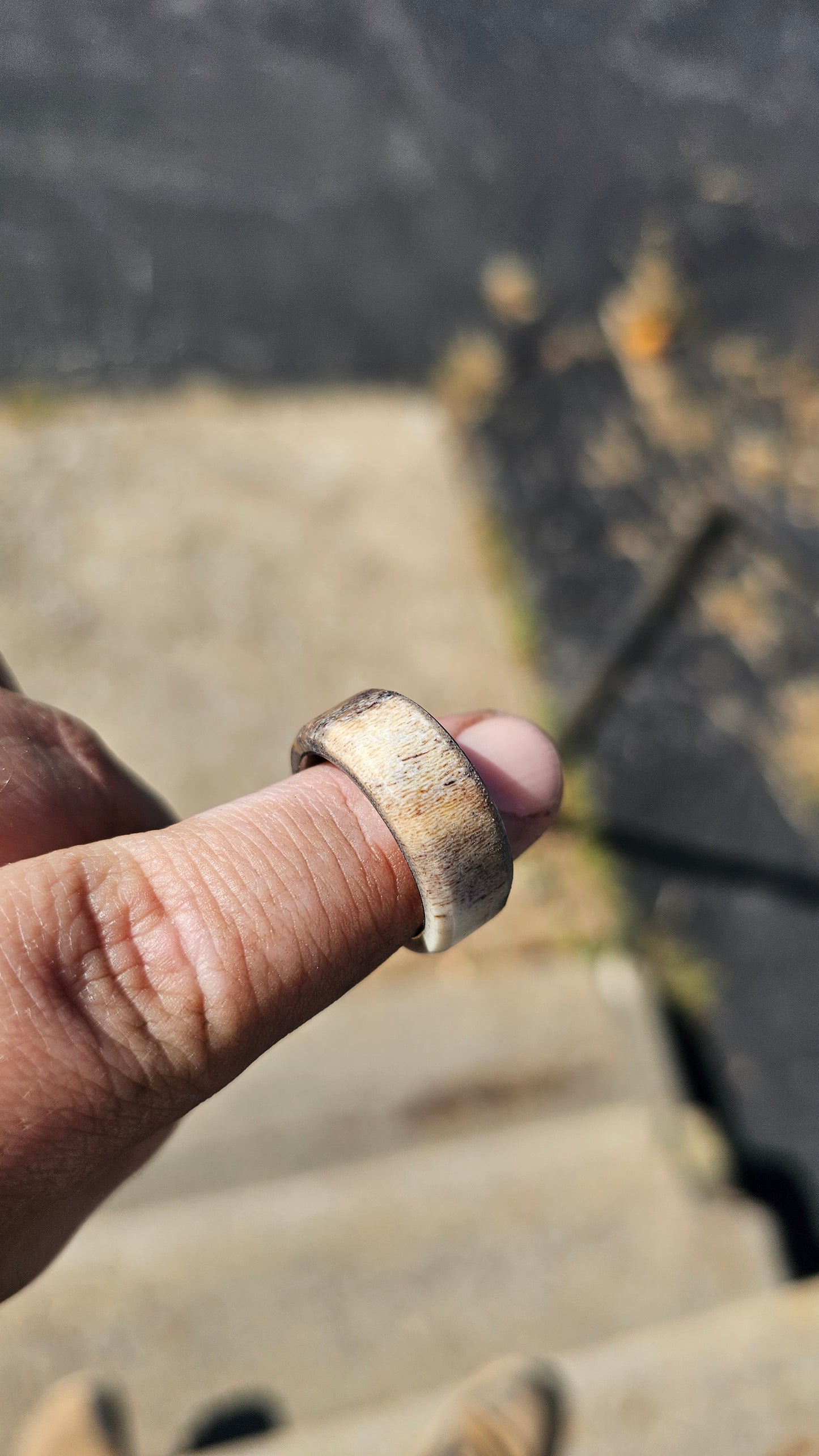 "The Whitetail" deer antler and titanium men's ring