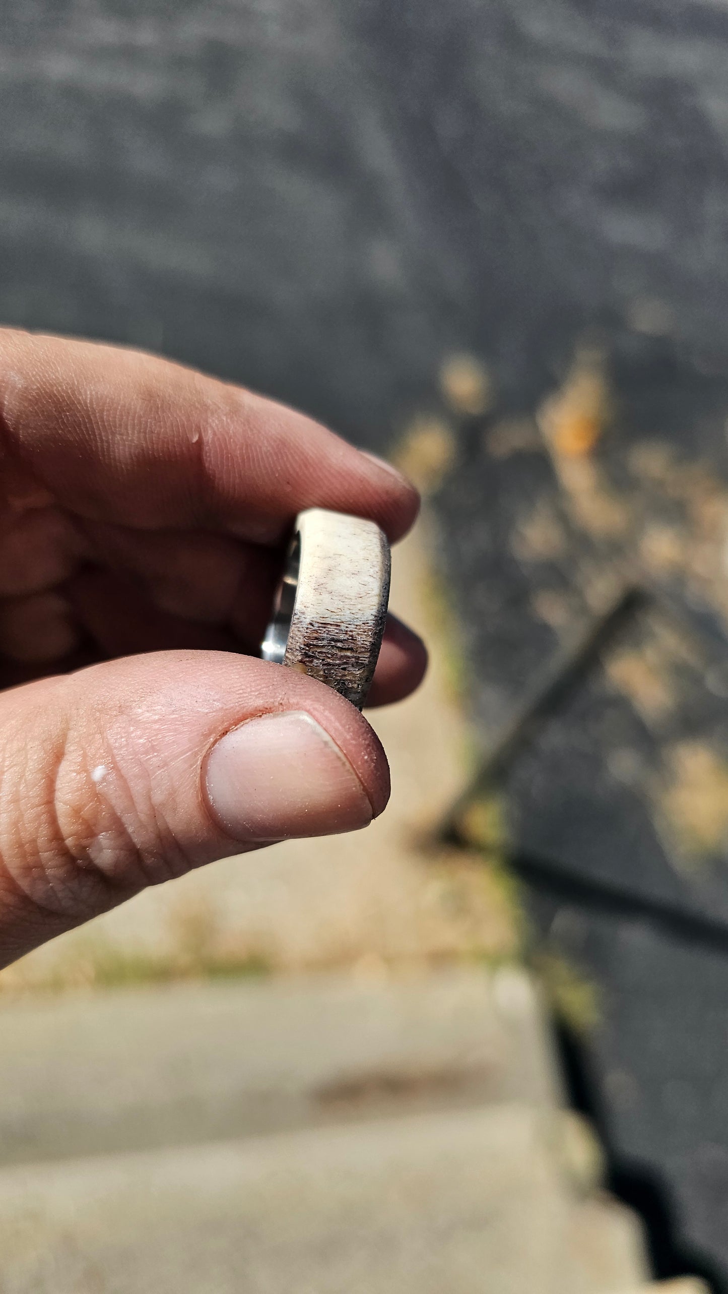 "The Whitetail" deer antler and titanium men's ring