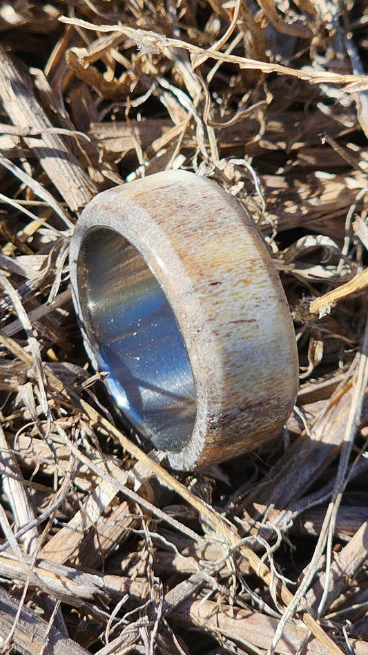 "The Whitetail" deer antler and titanium men's ring