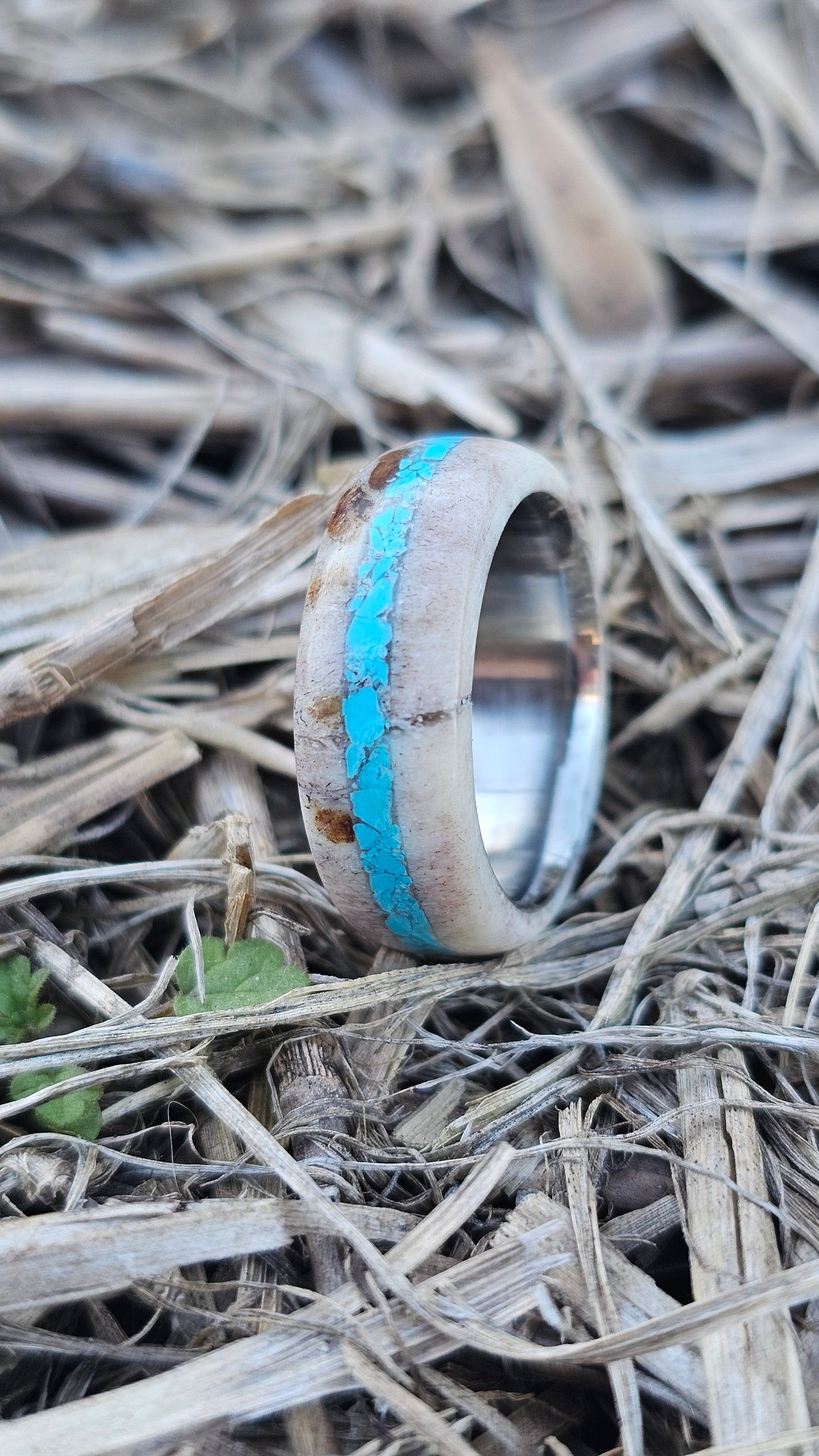Turquoise and Antler Womens Ring