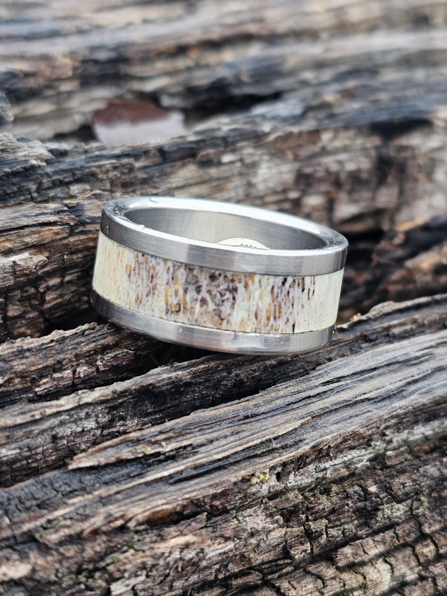 "Amercian Hunter" deer antler and titanium ring