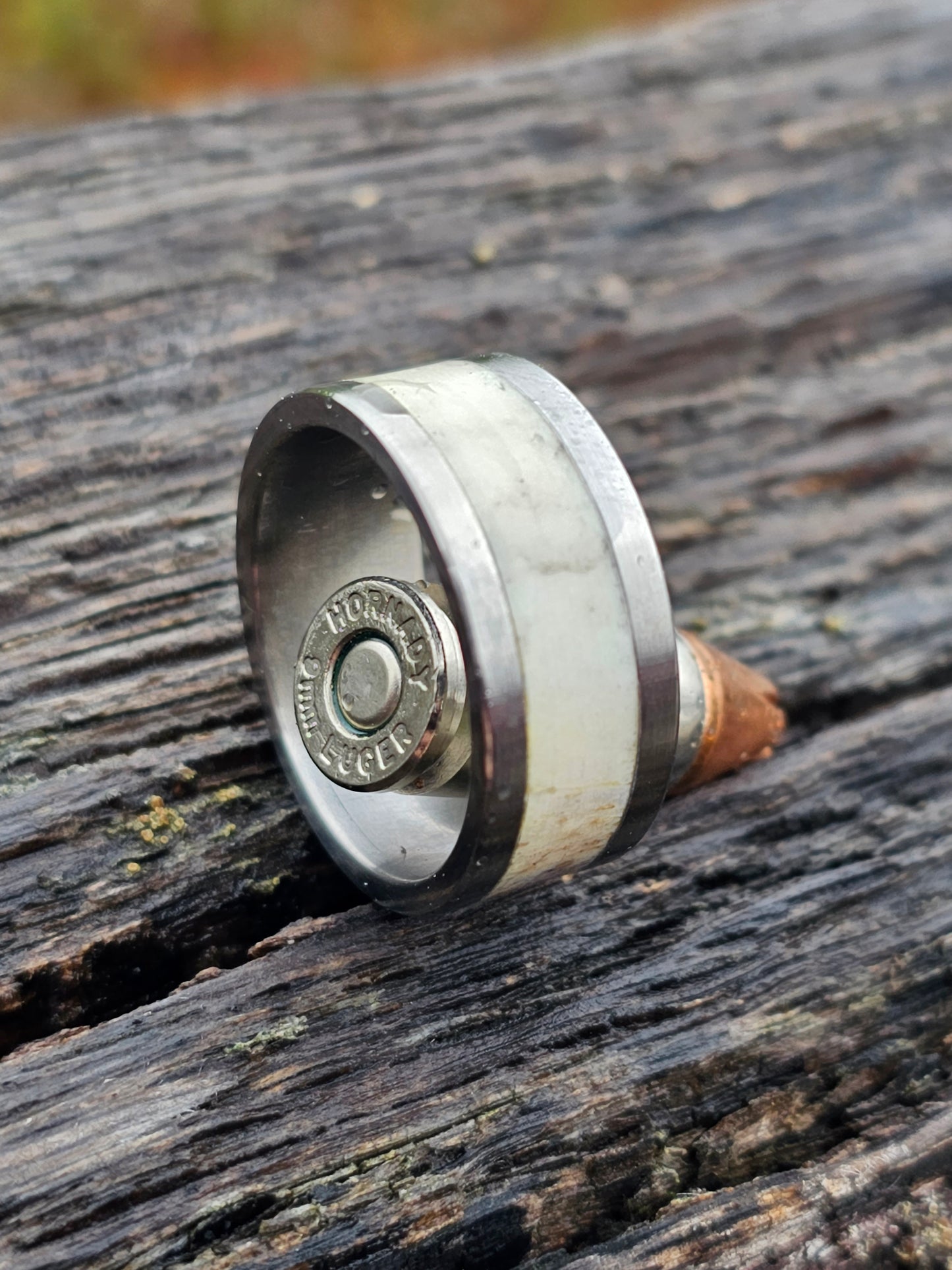 "Amercian Hunter" deer antler and titanium ring